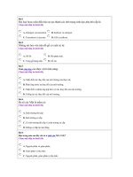 Đề thi thử số 4 HKII .lớp 11