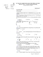 Đề thi môn Vật Lý TN-THPT 2009-m617