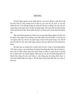 ĐÁNH GIÁ VÀ CHẨN ĐOÁN SẢN PHẨM, THỊ TRƯỜNG, MỤC TIÊU CỦA PGVN