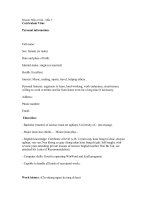 Resume mẫu cơ bản   mẫu 3 