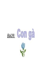 Bài 26 Con Gà