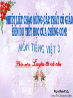 TV3 :MỞ RỘNG VỐN TỪ :QUÊ HƯƠNG .ÔN TẬP CÂU :AI LÀM GÌ ?