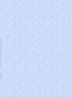 bài 13 lớp 11 (cb)