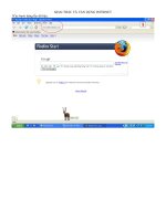 KHAI THÁC VÀ SỬ DỤNG INTERNET