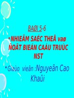 giao an chuong 1-sinh 12-co ban