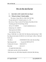 Phương hướng hoạt động của công ty Đầu Tư và Phát Triển Việt Nhật