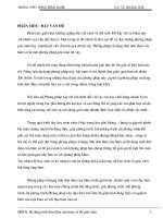 SKKN su dung tinh don dieu