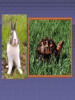 phương phap học nhóm