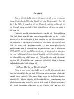 đánh giá hoạt động kinh doanh của Công ty TNHH Hà Nội Newtours