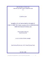 Nghiên cứu sử dụng phân lân hợp lý cho cà phê vối (coffea canephora pierre) kinh doanh trên đất bazan ở đăk lăk 