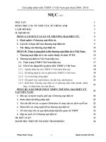 GIẢI PHÁP PHÁT TRIỂN THƯƠNG MẠI ĐIỆN TỬ TẠI VIỆT NAM