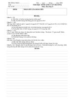 DE THI HSG CAP TRUONG HOA8.doc