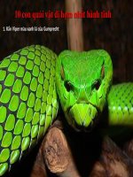 10 con quái vật dị hợm