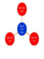 Bai27.Da dang dac diem chung cua sau bo