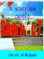 Tiết 60: Đa dạng sinh học