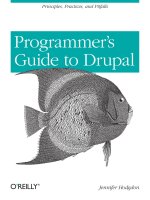 Programmers guide to drupal 