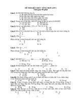 De thi kien thuc tong hop danh cho HS gioi lop 4