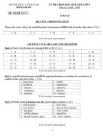 ĐÁP ÁN ĐỀ THI HSG TỈNH ANH 9 NH08-09( ĐỀ THI ĐỀ XUẤT )