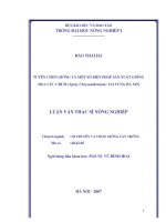 Tuyển chọn giống và biện pháp sản xuất giống hoa cúc chùm (spray chrysanthemum) tại vùng hà nội 