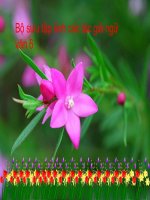 Chan dung cac nha van-Ngu van 6