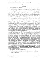 Kế toán xác định kết quả kinh doanh công ty TNHH hoà long 