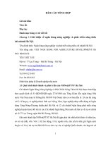 Định hướng, mục tiêu và giải pháp của NHNN&PTNT Hà Nội năm 2009