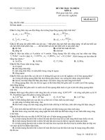 kt 60 phut lg tu as+ hat nhan