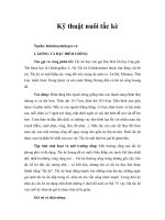 Kỹ thuật nuôi tắc kè 