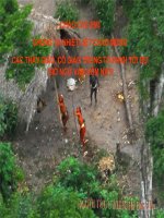 Tiết 125( Bức thư của thủ lĩnh da đỏ)