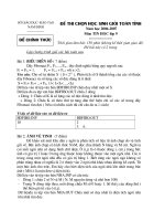 HSG 2006-2007(Nam Định)