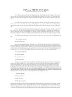 tham khảo vào10 _CÒN MÃI NHỮNG MÙA XUÂN Về bài thơ “Mùa Xuân nho nhỏ” của Thanh Hải