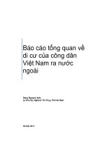 Báo cáo tổng quan về di cư của công dân Việt Nam ra nước ngoài