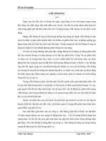 GIẢI PHÁP NÂNG CAO DUNG LƯỢNG  MẠNG GSM 900