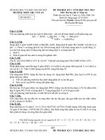 ĐỀ THI HỌC KỲ I  NĂM HỌC 2012- 2013 Môn Hoá học lớp 11 Nâng cao TRƯỜNG THPT CHU VĂN AN