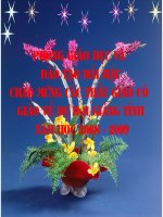 Hoi giang tinh 2008-2009