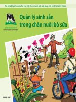 Quản lý sinh sản trong chăn nuôi bò sữa 