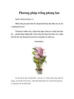 Phương pháp trồng phong lan 