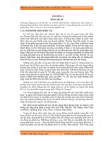 Đánh giá giá trị thương hiệu lencii của dệt may thái tuấn 