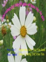 Tiết 61 ĐS.Hội Giảng Cấp Phòng.