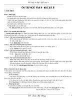 Kế hoạch ôn tập Ngữ văn 9