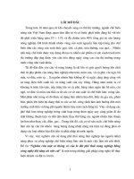 Nghiên cứu một số thông số của lò đốt phế thải nông nghiệp bằng công nghệ tầng sỏi nền cát 