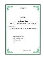 Bao cao nghiep vu kinh te 