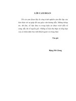 Hoàn thiện hoạt động tín dụng của các ngân hàng thương mại nhằm thúc đẩy chuyển dịch CCKT trên địa bàn miền đông nam bộ theo hướng CNH, hđh 