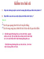 anh cua mot vat tao boi thau kinh phan ky