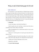 Phòng, trị một số bệnh thường gặp trên ếch nuôi 