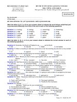 ĐỀ THI TUYỂN SINH CAO ĐẲNG NĂM 2011 Môn: TIẾNG ANH; Khối D mã 258 