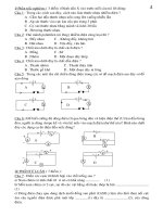 Tổng hợp các đề thi đề cương ôn tập VL7 phẫn