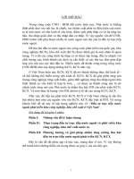 Đầu tư trực tiếp nước ngoài phát triển khu công nghiệp, khu chế xuất ở Việt Nam