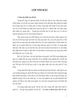 Cơ hội và thách thức đối với việc phát triển đầu tư trực tiếp nước ngoài (FDI) tại Việt nam sau khi gia nhập WTO và chức năng của chính phủ trong việc quản lý kinh tế