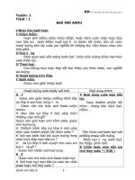 Giáo án Địa lý 6